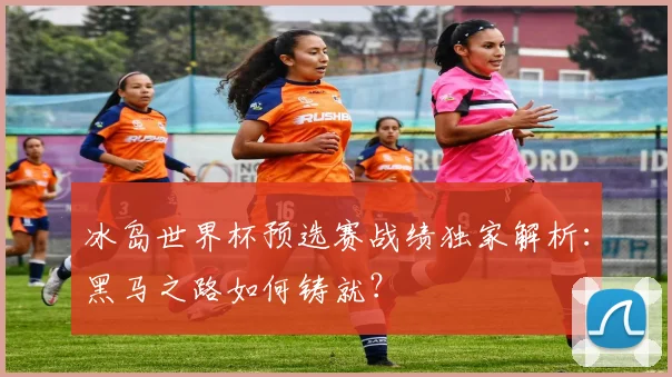 冰岛世界杯预选赛战绩独家解析：黑马之路如何铸就？