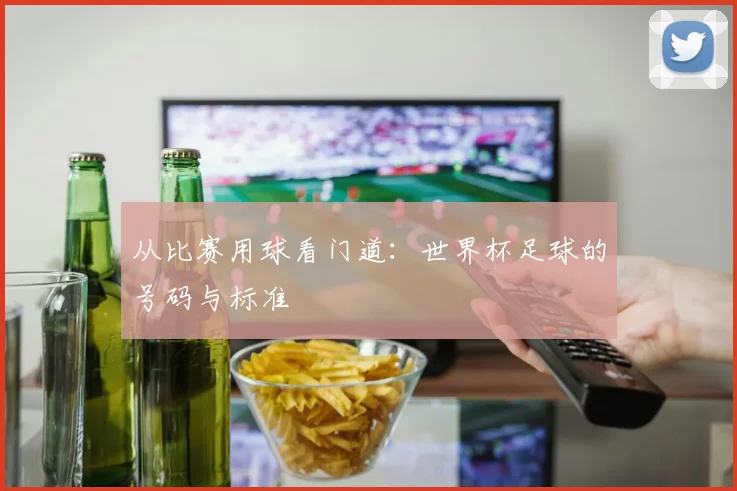 从比赛用球看门道：世界杯足球的号码与标准