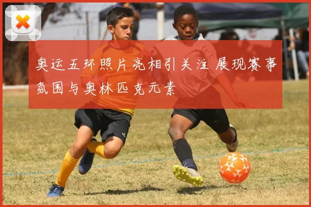 奥运五环照片亮相引关注 展现赛事氛围与奥林匹克元素